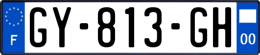 GY-813-GH