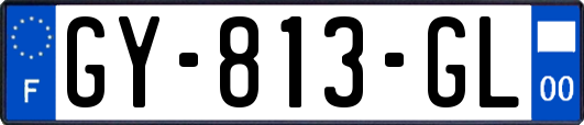 GY-813-GL