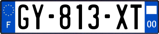 GY-813-XT