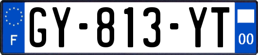GY-813-YT
