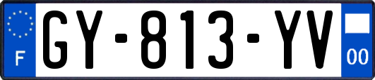 GY-813-YV