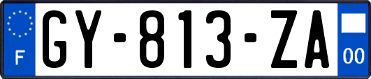 GY-813-ZA