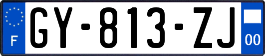 GY-813-ZJ