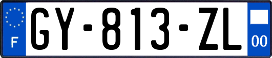 GY-813-ZL