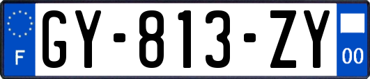 GY-813-ZY