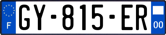 GY-815-ER