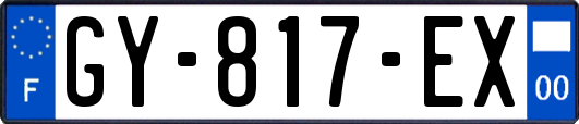 GY-817-EX
