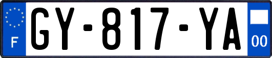 GY-817-YA