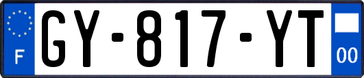 GY-817-YT
