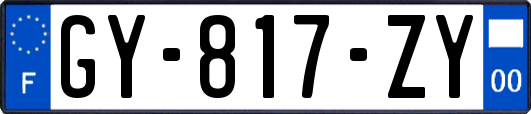 GY-817-ZY