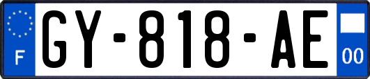GY-818-AE