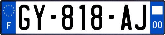 GY-818-AJ