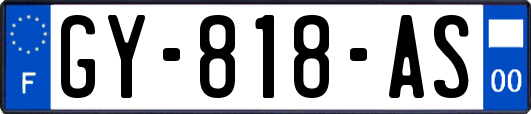 GY-818-AS