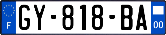 GY-818-BA