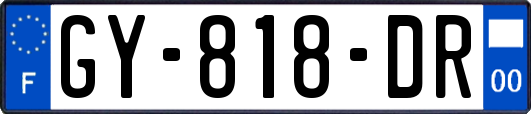 GY-818-DR