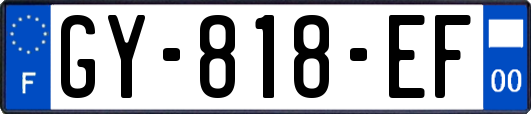 GY-818-EF
