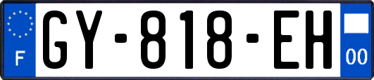 GY-818-EH