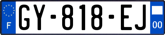 GY-818-EJ