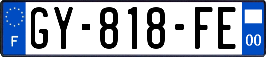 GY-818-FE