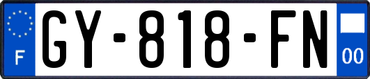 GY-818-FN