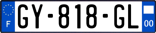 GY-818-GL