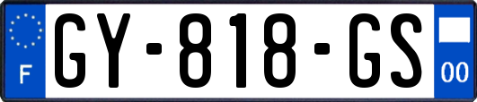 GY-818-GS
