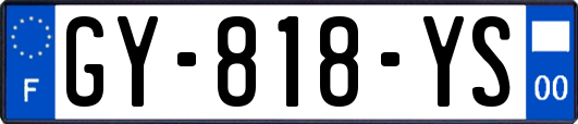 GY-818-YS