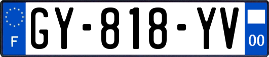 GY-818-YV
