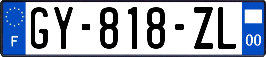 GY-818-ZL