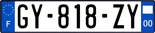 GY-818-ZY