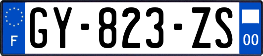 GY-823-ZS