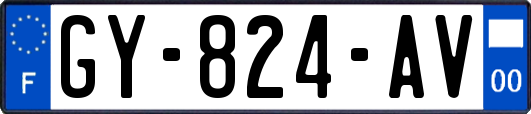 GY-824-AV