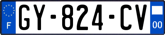 GY-824-CV