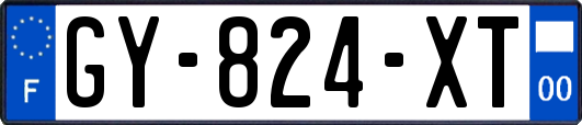 GY-824-XT