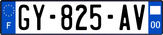 GY-825-AV