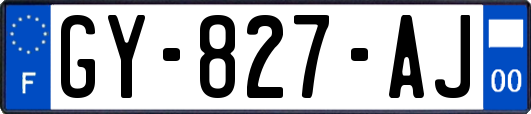 GY-827-AJ