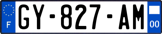 GY-827-AM