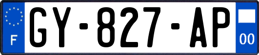 GY-827-AP