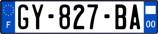 GY-827-BA