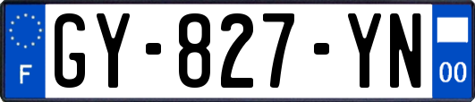 GY-827-YN