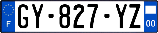 GY-827-YZ