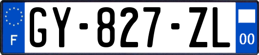 GY-827-ZL
