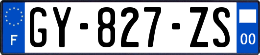 GY-827-ZS