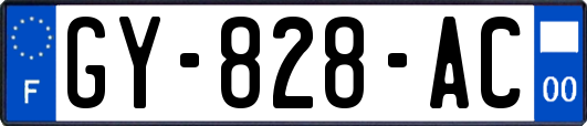 GY-828-AC