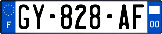 GY-828-AF