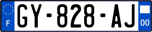 GY-828-AJ