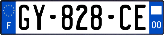 GY-828-CE