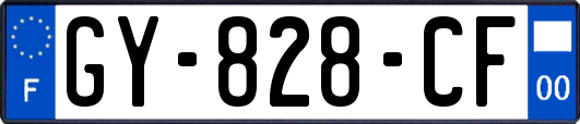 GY-828-CF