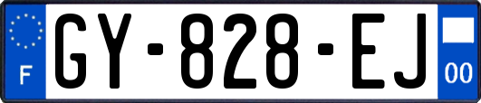 GY-828-EJ
