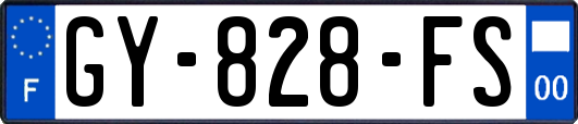 GY-828-FS